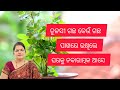 ତୁଳସୀ ଗଛ କେଉଁ ଗଛ ପାଖରେ ରଖିଲେ ଘରକୁ ନକାରାତ୍ମକ ଆସେ /Vastu plant 