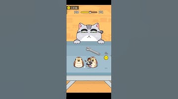 Hide & Seek : Cat 🐈 Escape Game | Level - 350 | Satisfying Gameplay #games #shorts #hideandseek