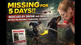 Lost for 5 Days Found by Space Coast Drone Pet Recovery Community