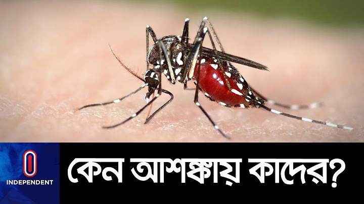 ডেঙ্গু পরিস্থিতি সামনে আরো ভয়াবহ হবে? II Dengue II Jatiya Part
