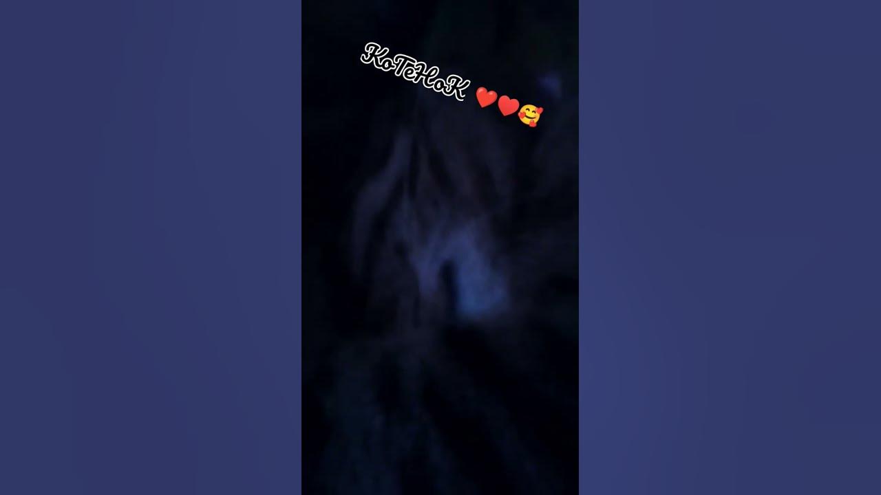 котёнок 🥰♥️ ️ - YouTube