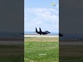 Fighter jet's last resort during emergency landing