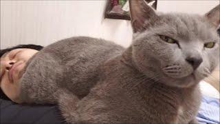 きょうのべんき