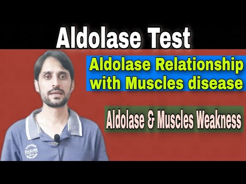 Video: Aldolase-Test: Zweck, Verfahren Und Ergebnisse