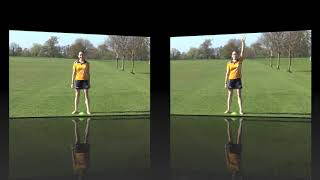 Level One hand signals