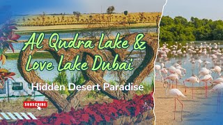 Al Qudra Lake & Love Lake Dubai | Hidden Desert Paradise 🌅 Fish, Flamingo, Desert Lake & Picnic Spot