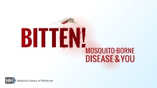 Bitten! Mosquito-Borne Disease & You