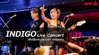 คอนเสิร์ต INDIGO live @เฮียตุ้ยของชำ ท่าพระ ขอนแก่น