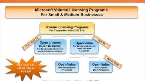 Microsoft Open License Programs Comparison #2