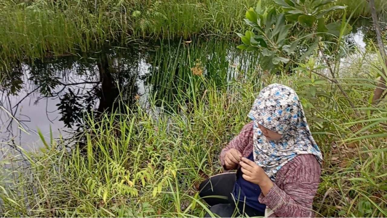 penasaran spot rawa Katingan di belain nerobos semak sampai 2kilo