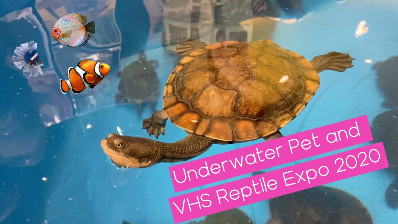 Underwater Pet Expo and VHS Reptile and Amphibian Expo ...