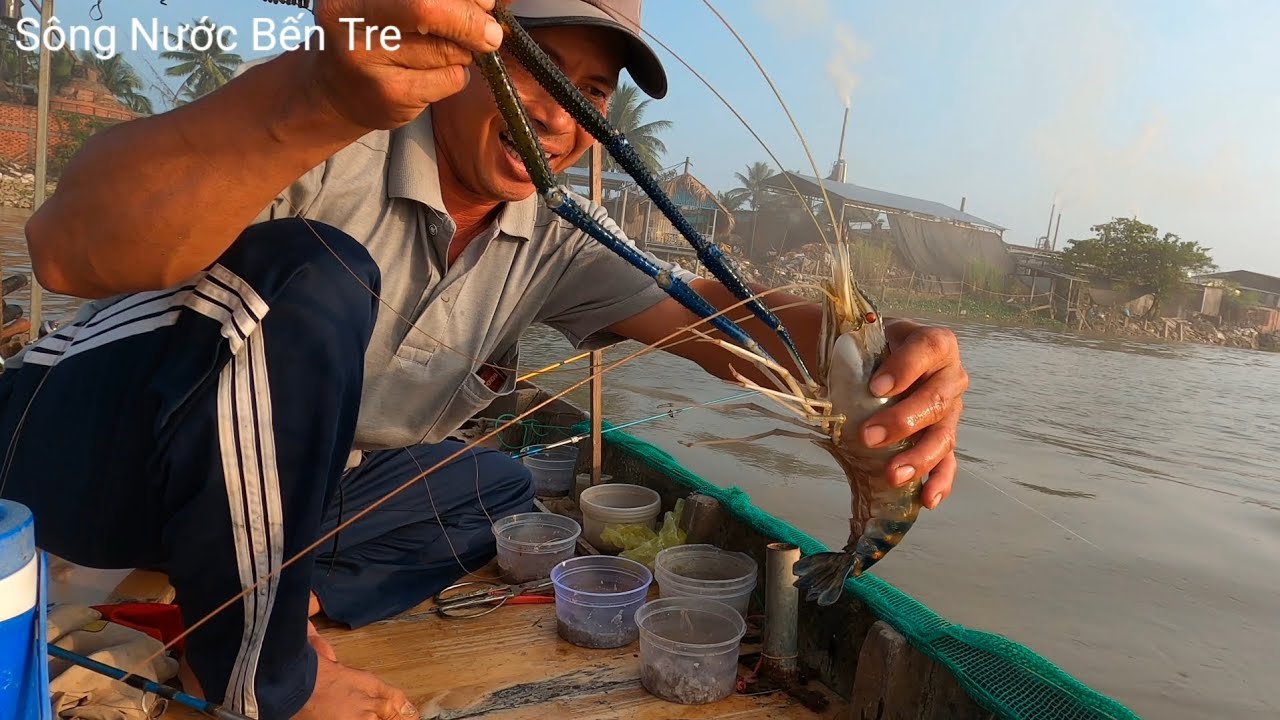 Một Ngày Đi Câu Tôm Không Có Ghe Cào Trúng Đậm - Sông Nước Bến Tre 