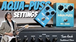My Tips For Getting Mayer's Aqua Puss Slapback Sound - YouTube