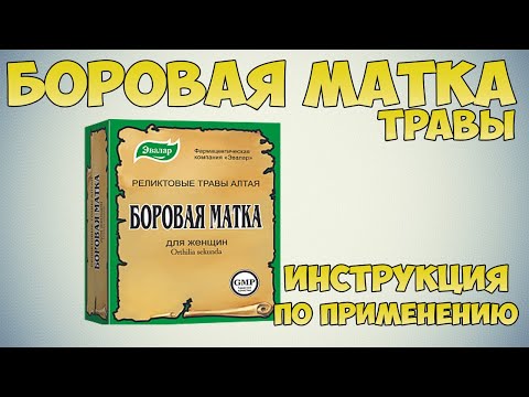 Боровая матка трава