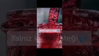 Deniz Kızı Olma Belirtileri