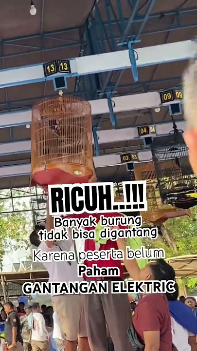 Lomba burung RICUH .!!! Gantangan electrik keburu DITUTUP #lombamuraibatu #lombamurai