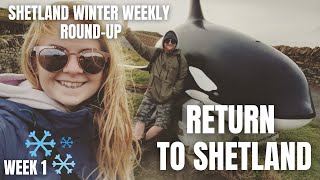Return to Shetland | Shetland Winter Weekly Round-up Week 1|