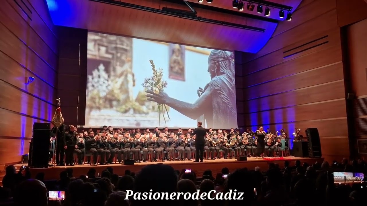 A.M POLILLAS | SUENA CADIZ | ESTRENO