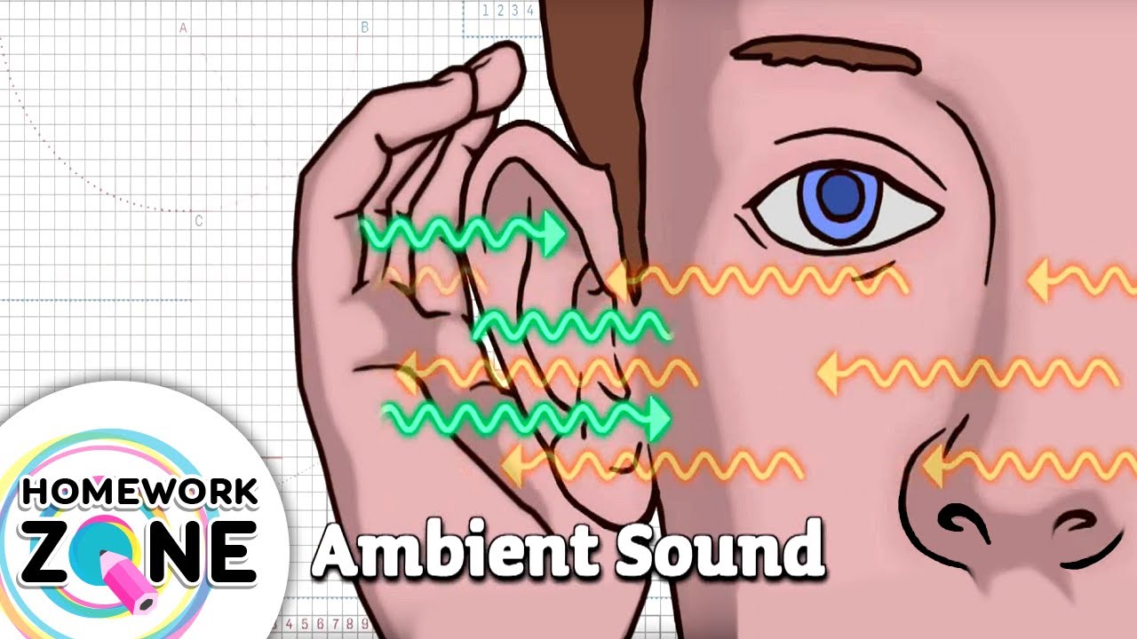 HOMEWORK ZONE Ambient Sound YouTube