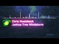 Capture de la vidéo Chris Huelsbeck - Joshua Tree Windstorm
