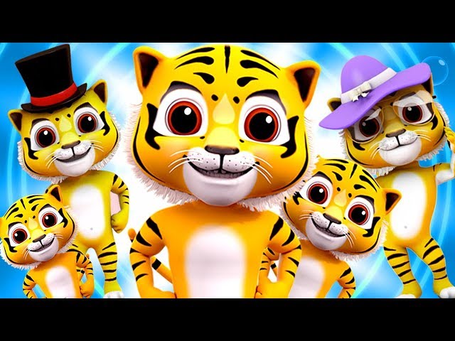 Keluarga jari harimau | Lagu keluarga jari | sajak anak-anak | Tiger Finger Family | Kids Songs class=