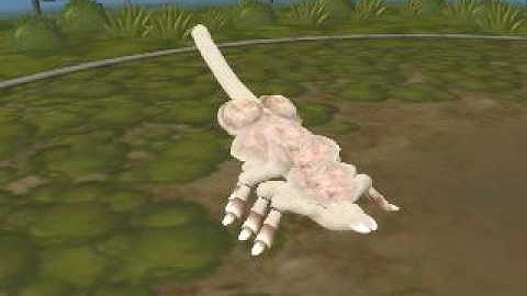 Spore Video Facehugger