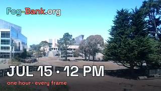 FogCam · July 15, 2026 · 12 pm PT · one hour, every frame