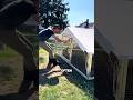 Mobile chicken coop #trivia #viral #shorts