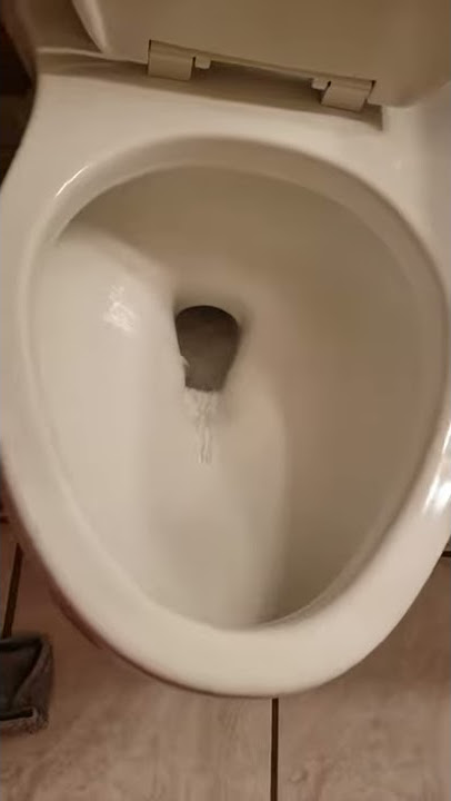 Kohler one pice toilet