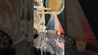Послание от Языческого оракула #rinacheray #таро #таролог #гадание  #гаданиетаро #тароонлайн