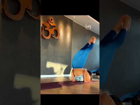 재 결성으로 지켜낸 '아그니스' / Agnes, who stood her ground. #yoga #shorts