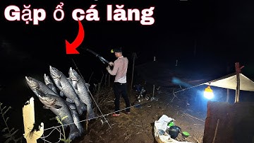 12H Dựng Chòi Câu Cá Lăng/ Chuyến Đi Ngoài Kế Hoạch Nhưng Kết Quả Hơn Mong Đợi.