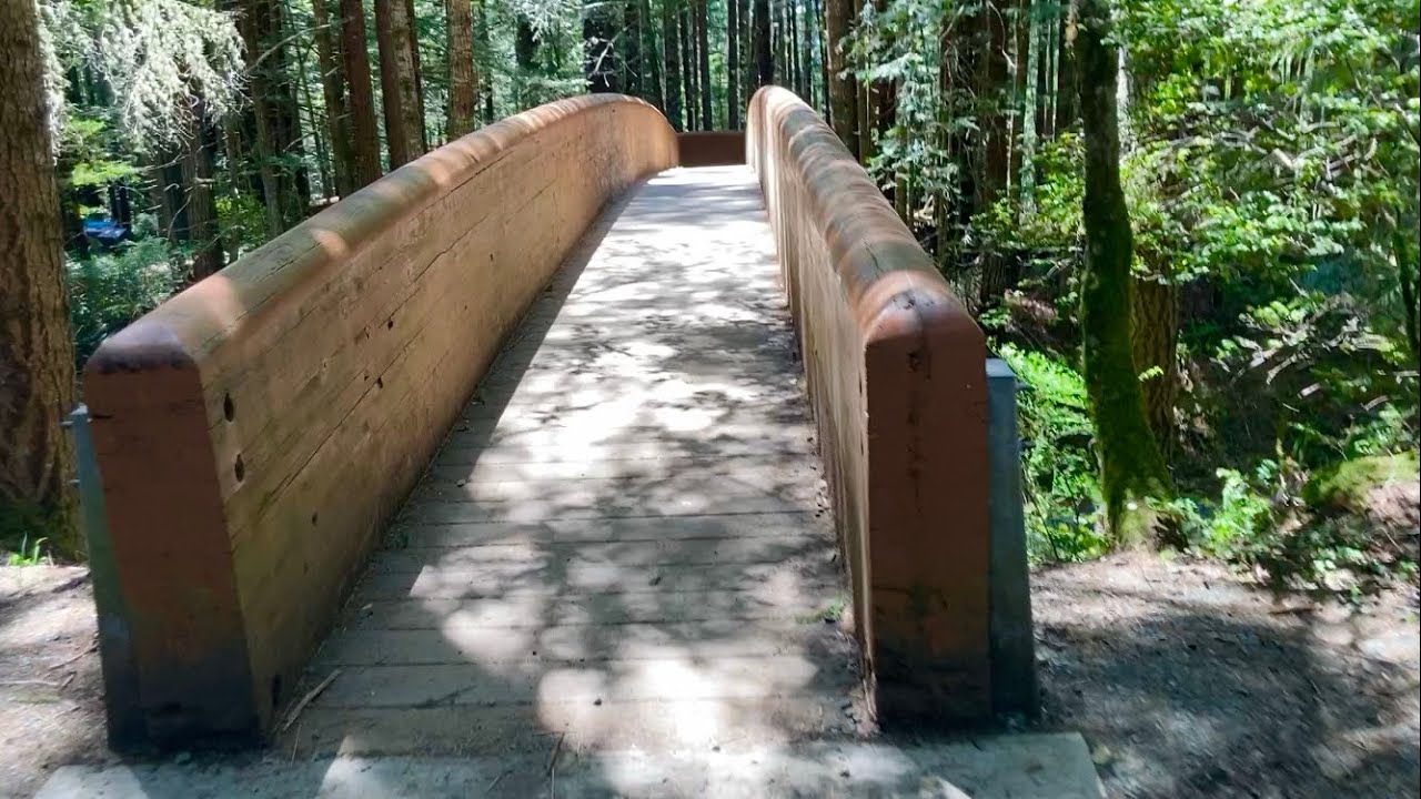 Redwood Forest:  Lady Bird Johnson Grove Trail (West Coast Hiking Trip: Part 8)