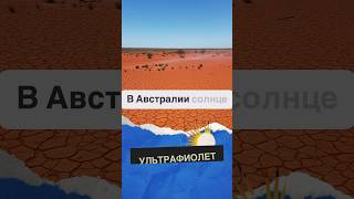 Солнце в Австралии #факты #австралия #интересное #мозг #длявас