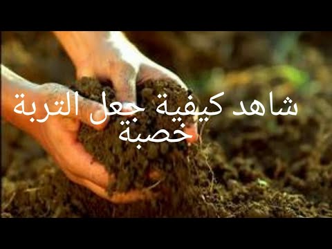 فيديو: كيف تجعل التربة الخصبة خصبة؟