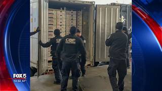Cocaine packed in pineapple shipment