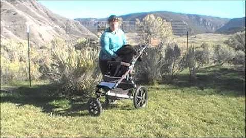 Mountain Buggy Terrain