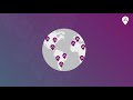 🇿🇦 AURA South Africa | How our smart emergency response works