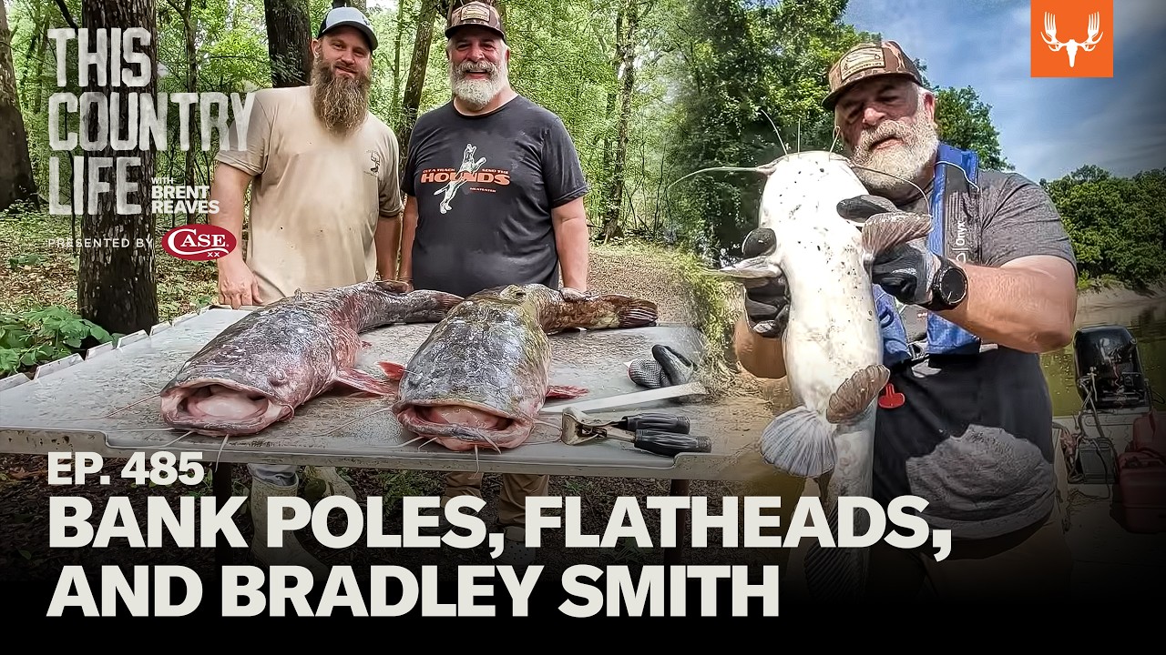 Bank Poles, Flatheads, and Bradley Smith | This Country Life Ep. 485