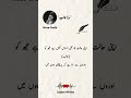Mirza ghalib poetry Urdu lines ❤️🥰💯 #shorts #poetry #trendingshorts #quotes #lovepoetry