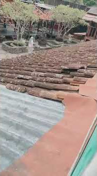 status WA keren mendoan anget kocak