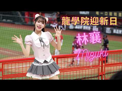 Dragon Beauties❤️‍🔥全新應援曲合輯❤️‍🔥龍學院主題日❤️‍🔥#林襄 #Mizuki #dragonbeauties #cheerleader #味全龍 #小龍女