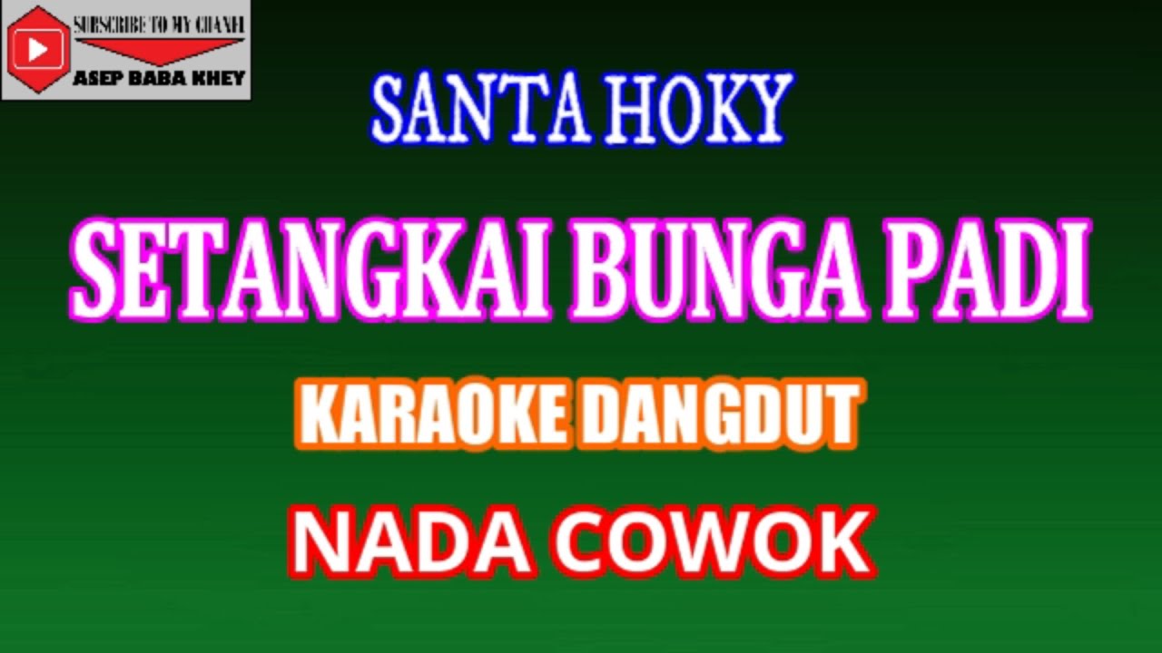 KARAOKE DANGDUT SETANGKAI BUNGA PADI - SANTA HOKY (COVER) NADA COWOK