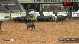 A Judges Perspective: 2016 AQHA Senior Cutting World Champion