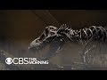 Smithsonian Museum of Natural History debuts long-awaited dinosaur exhibit