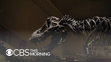 Are there dinosaurs at the Smithsonian?