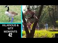 Hilarious and wtf moments in disc golf coverage  part 42