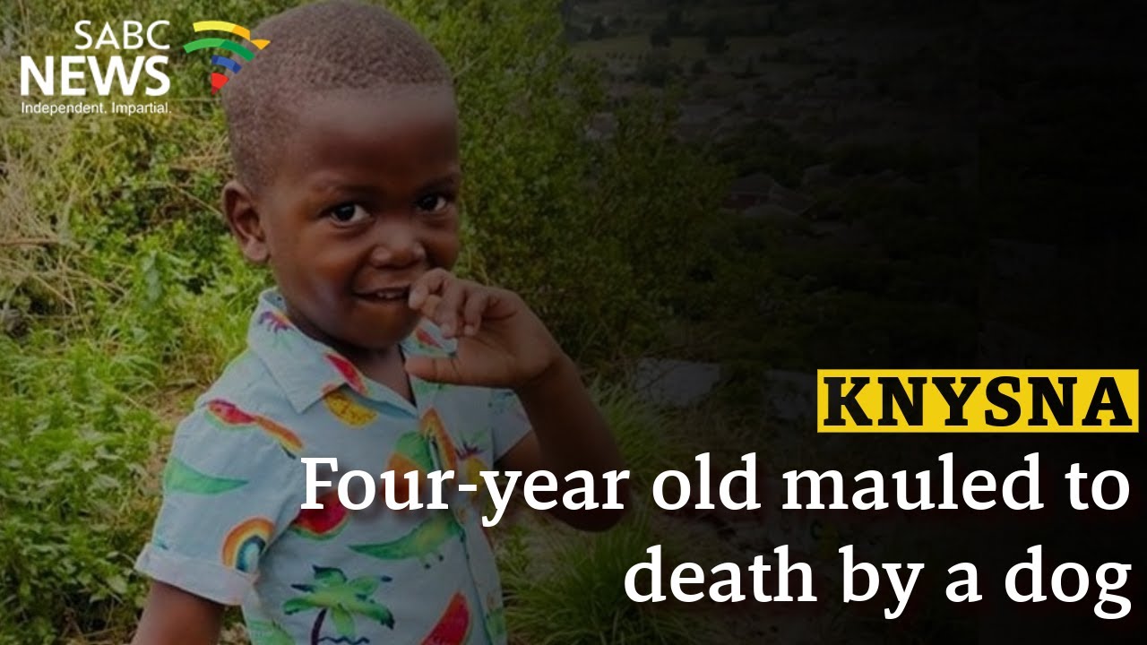 Knysna | Four-year old mauled to death by a dog - YouTube