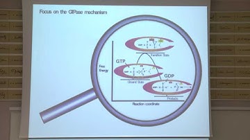 How to Model Action of Complex Biological Systems on Molecular Level - Arieh Warshel