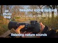📸 4K Cinematic Nature Sunrise | Golden Hour POV Photo Walk + Stunning Edits #4k #naturetranquility
